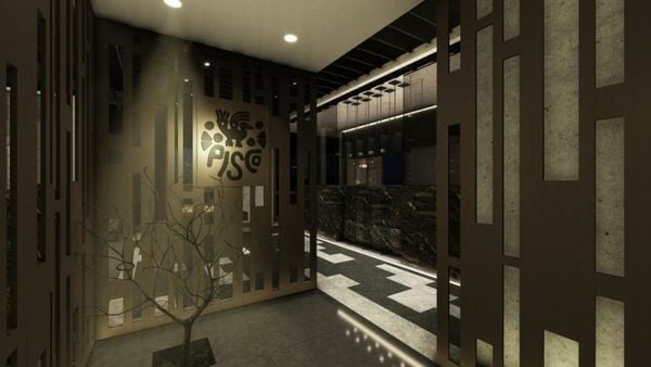 King Jason Zante – Designed for Adults