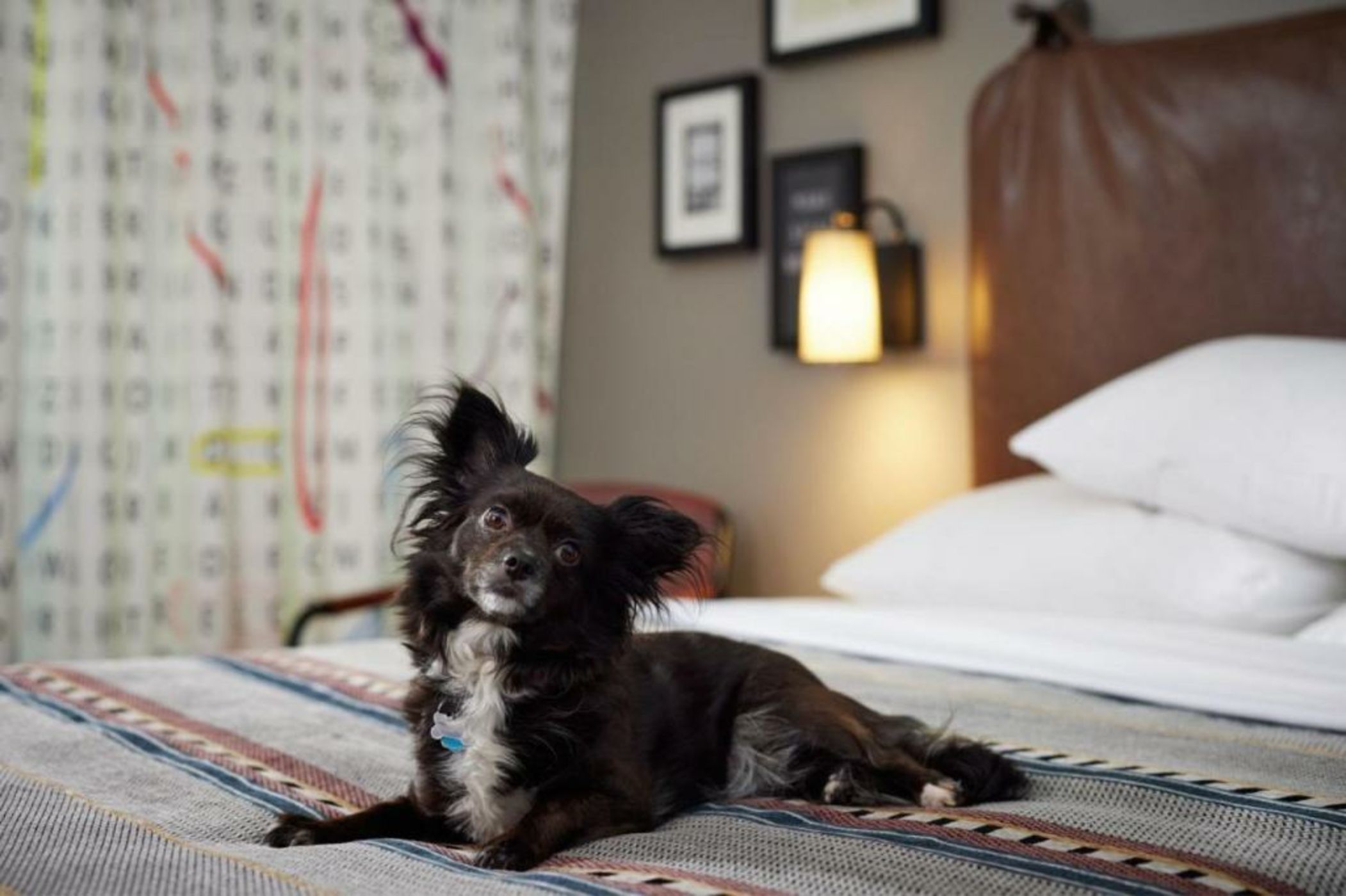 Moxy Austin - University