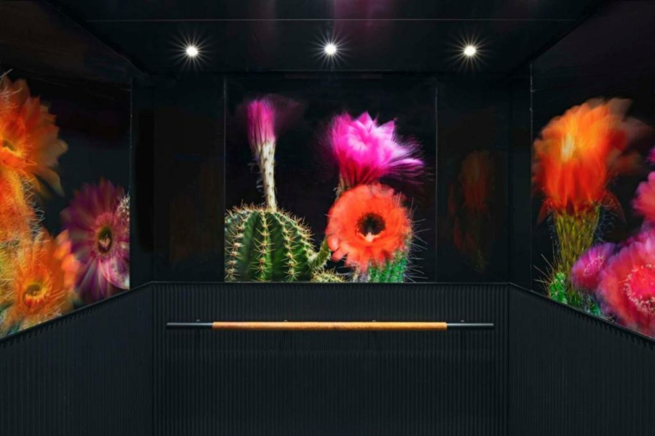 Tommie Austin, JDV by Hyatt