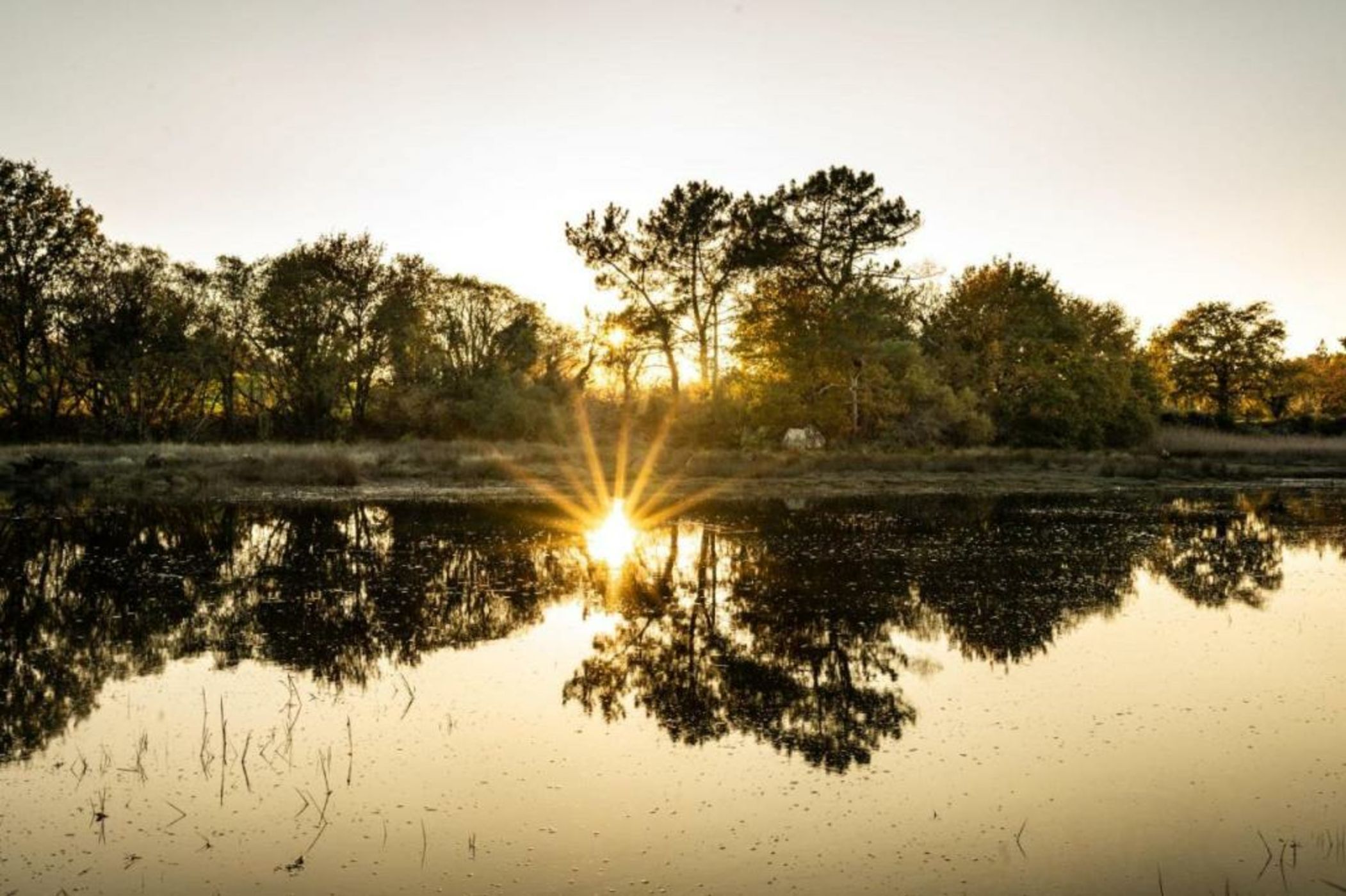 La Maison OBONO Hôtel & Spa