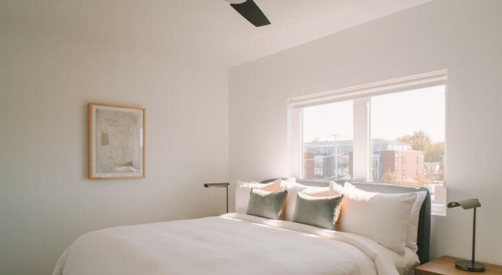 Sonder The Lookout