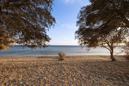 Yenesis Seaside Retreat - Adults only