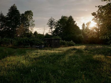Michelberger Farm