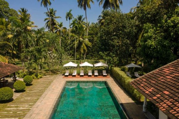 Uga Riva - Negombo