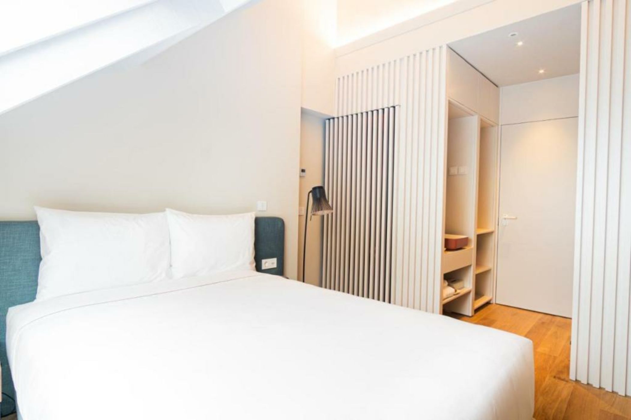 The Lince Santa Clara