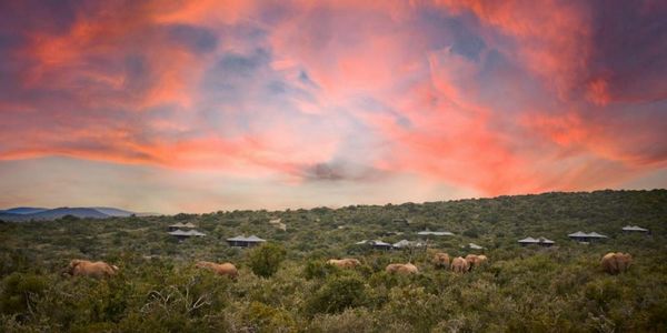 Kwandwe Ecca Lodge