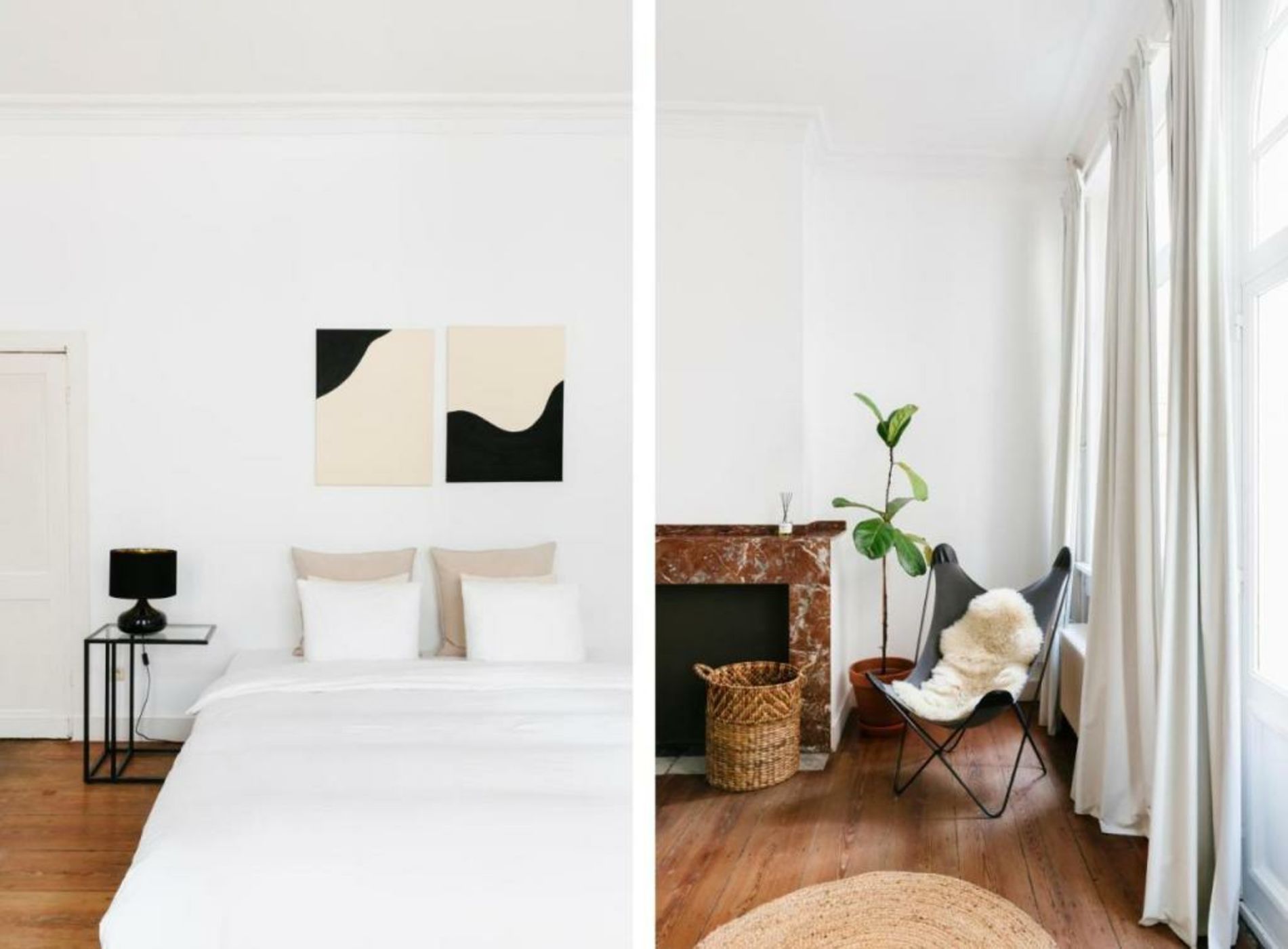 The Collector's House