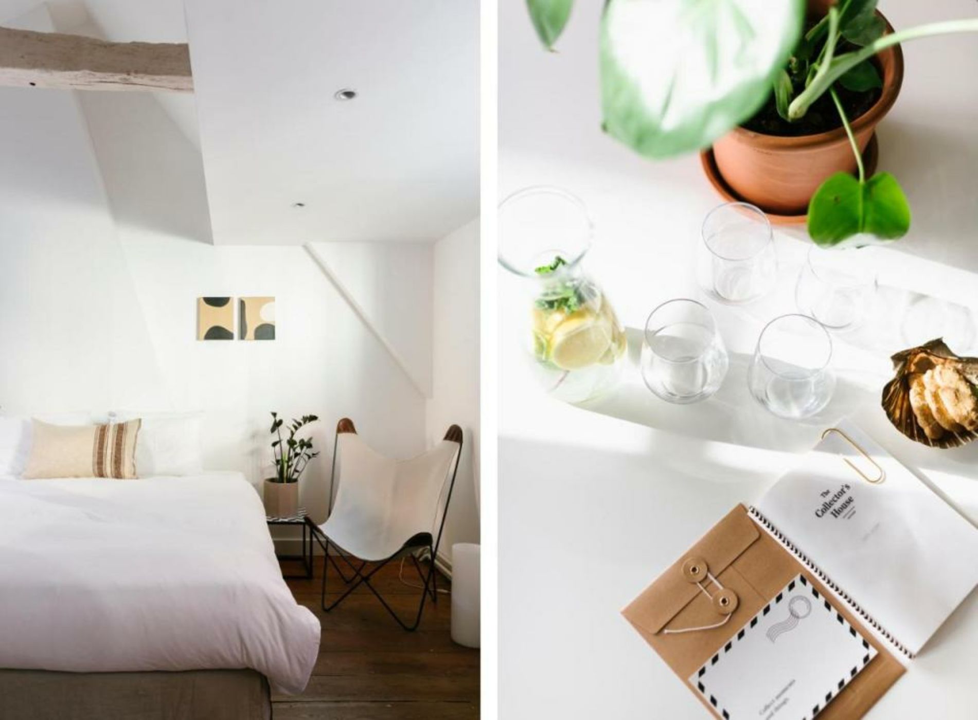 The Collector's House