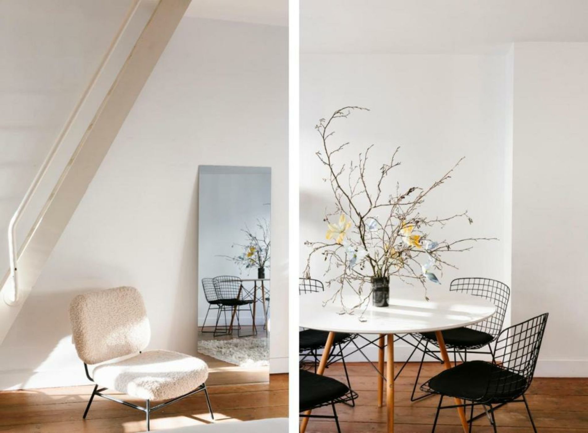 The Collector's House