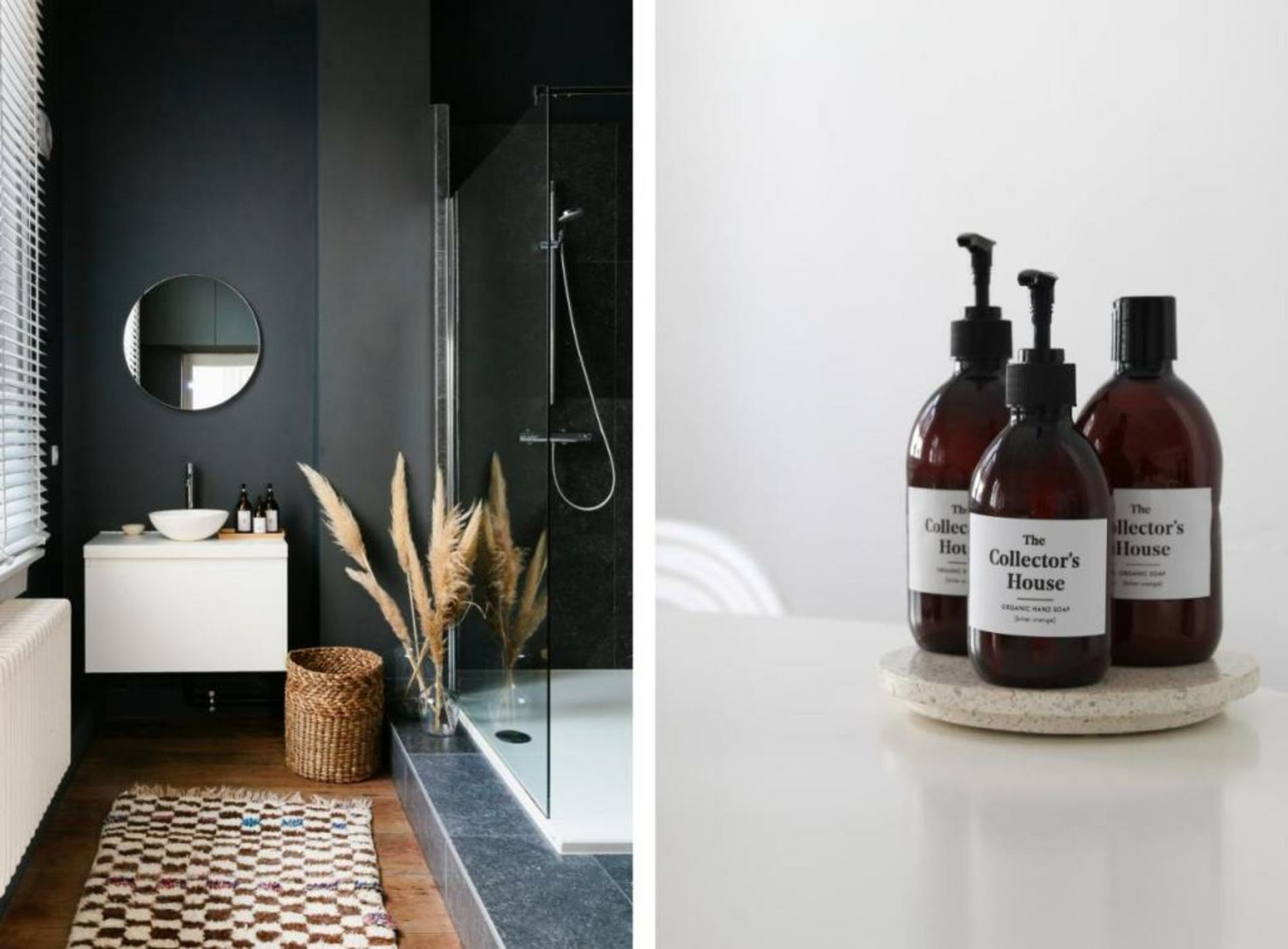 The Collector's House