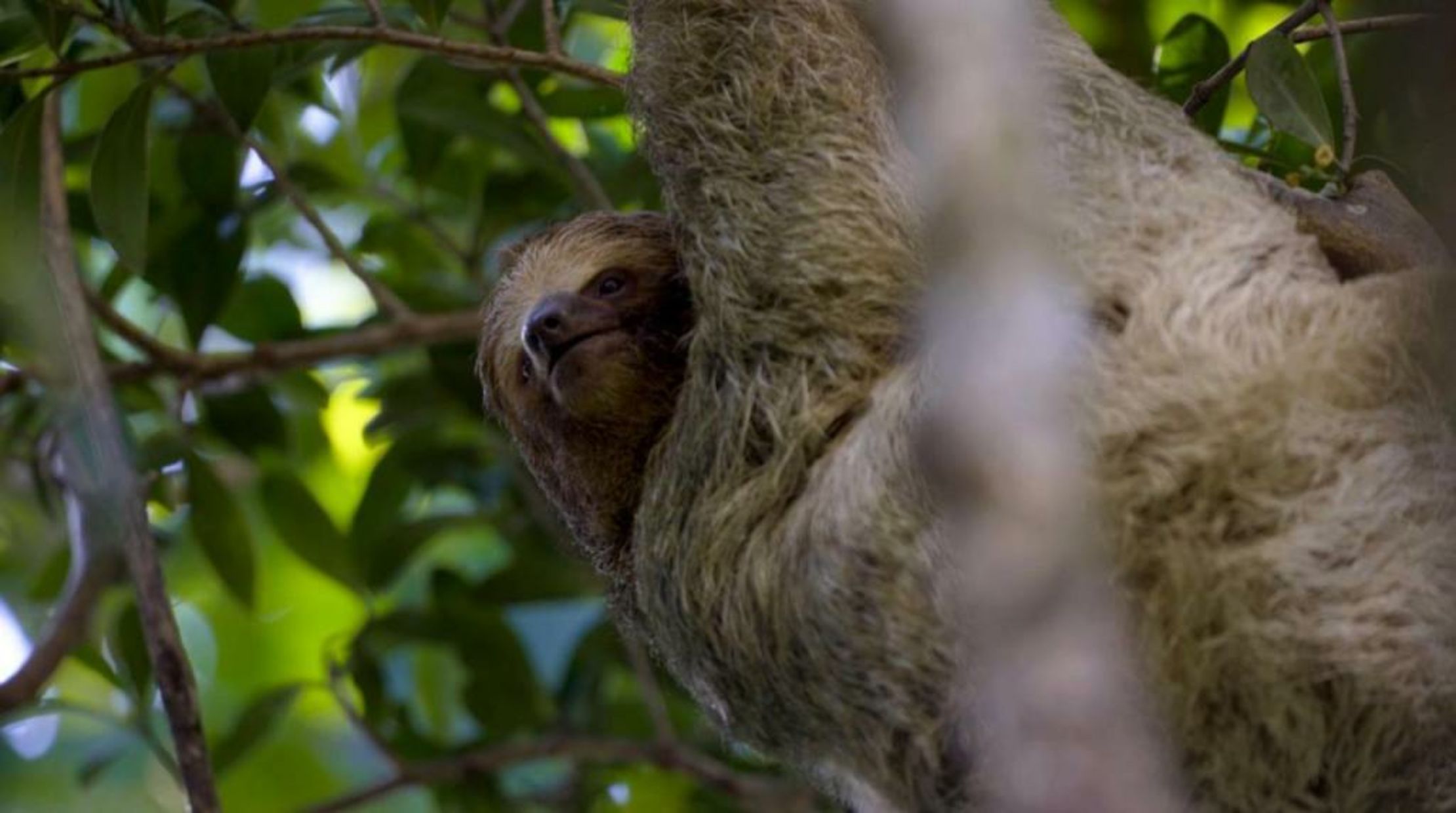 Hideaway Rio Celeste Hotel