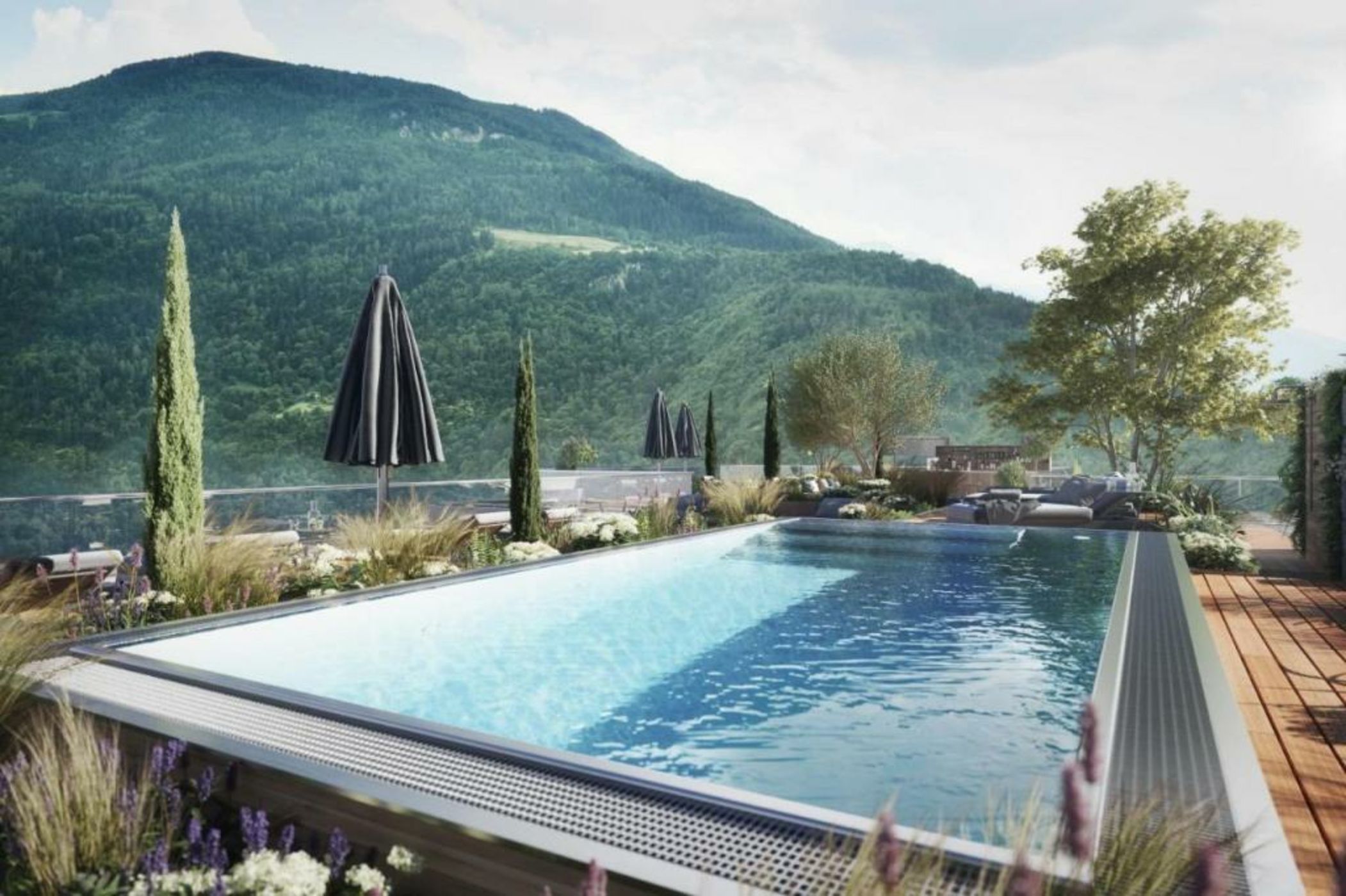 Avidea - Adults Only