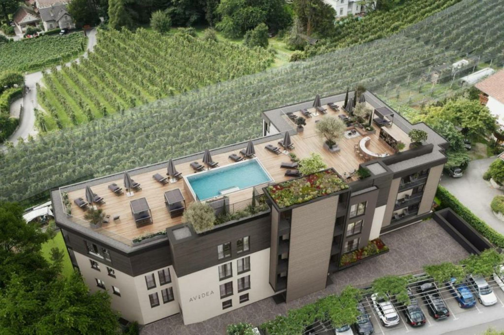 Avidea - Adults Only