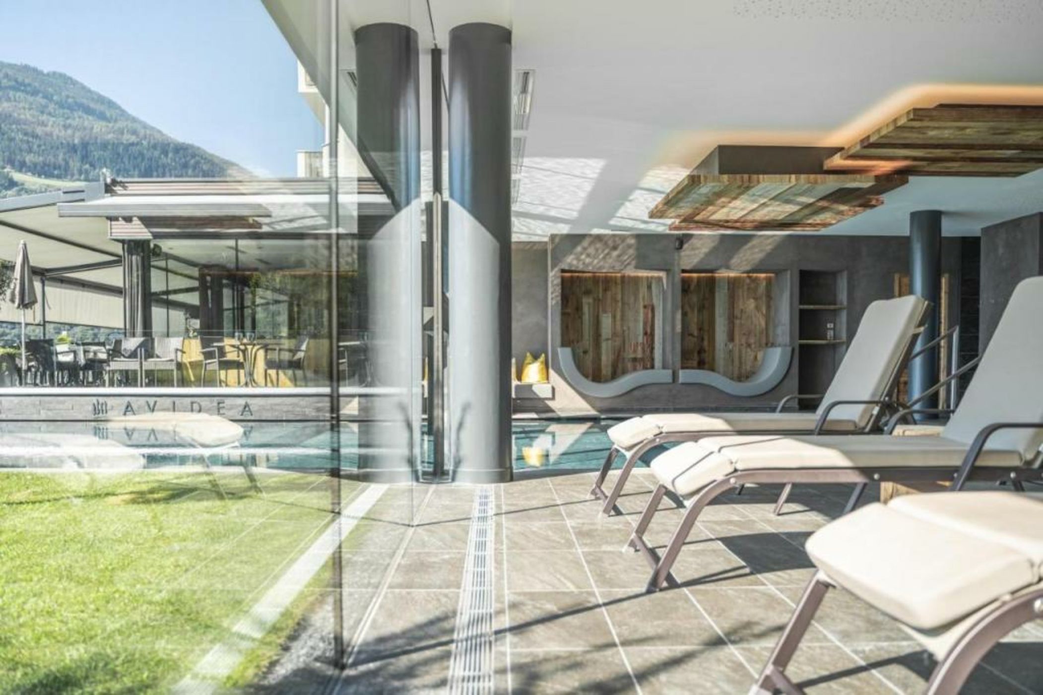 Avidea - Adults Only