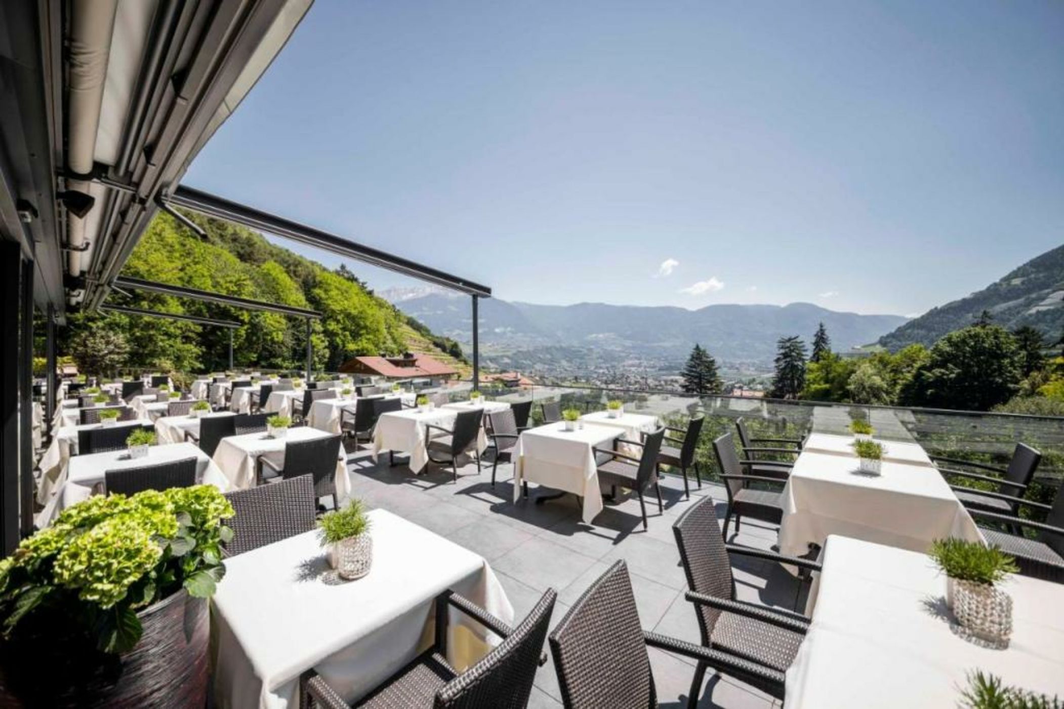 Avidea - Adults Only