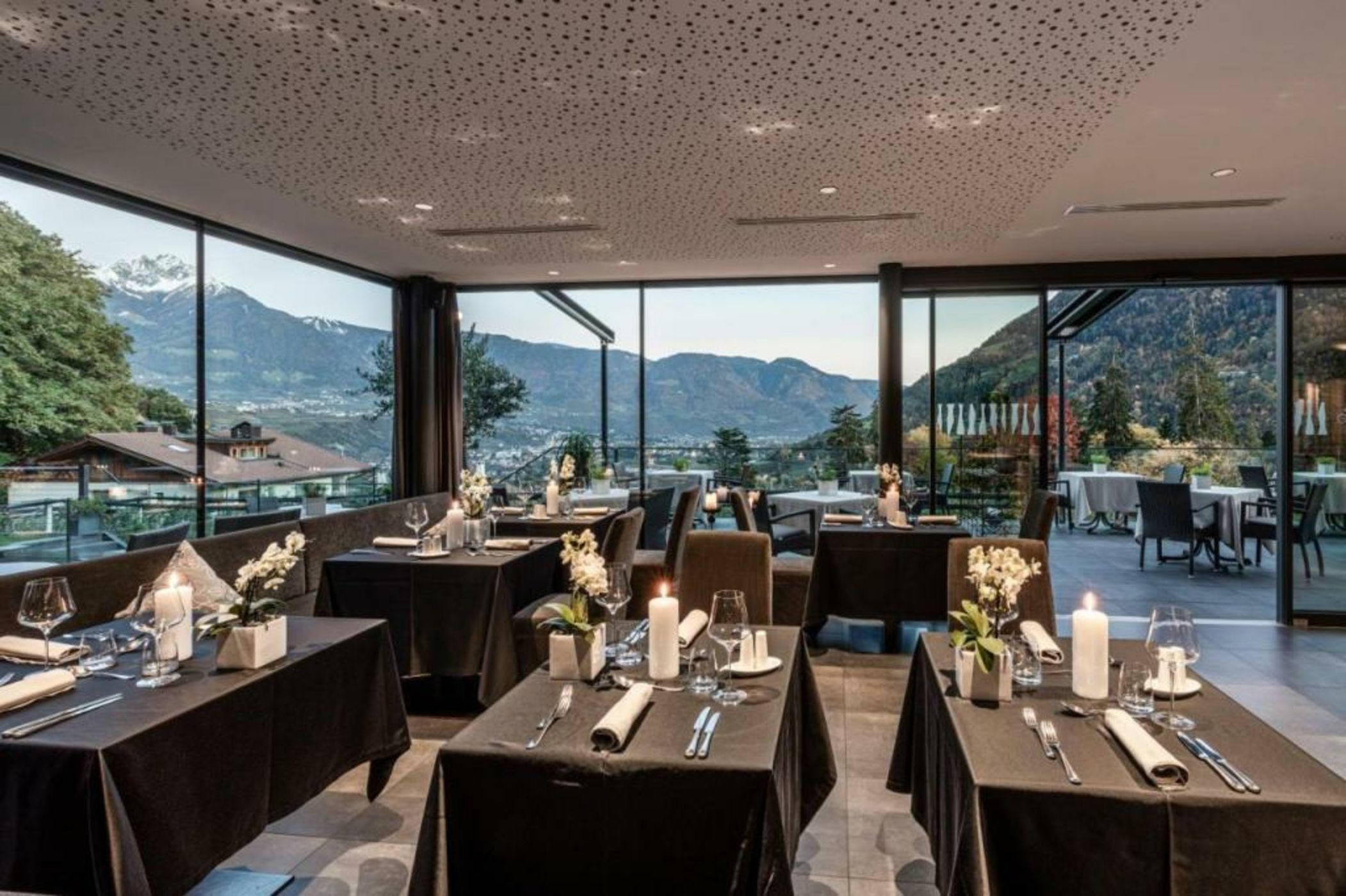 Avidea - Adults Only