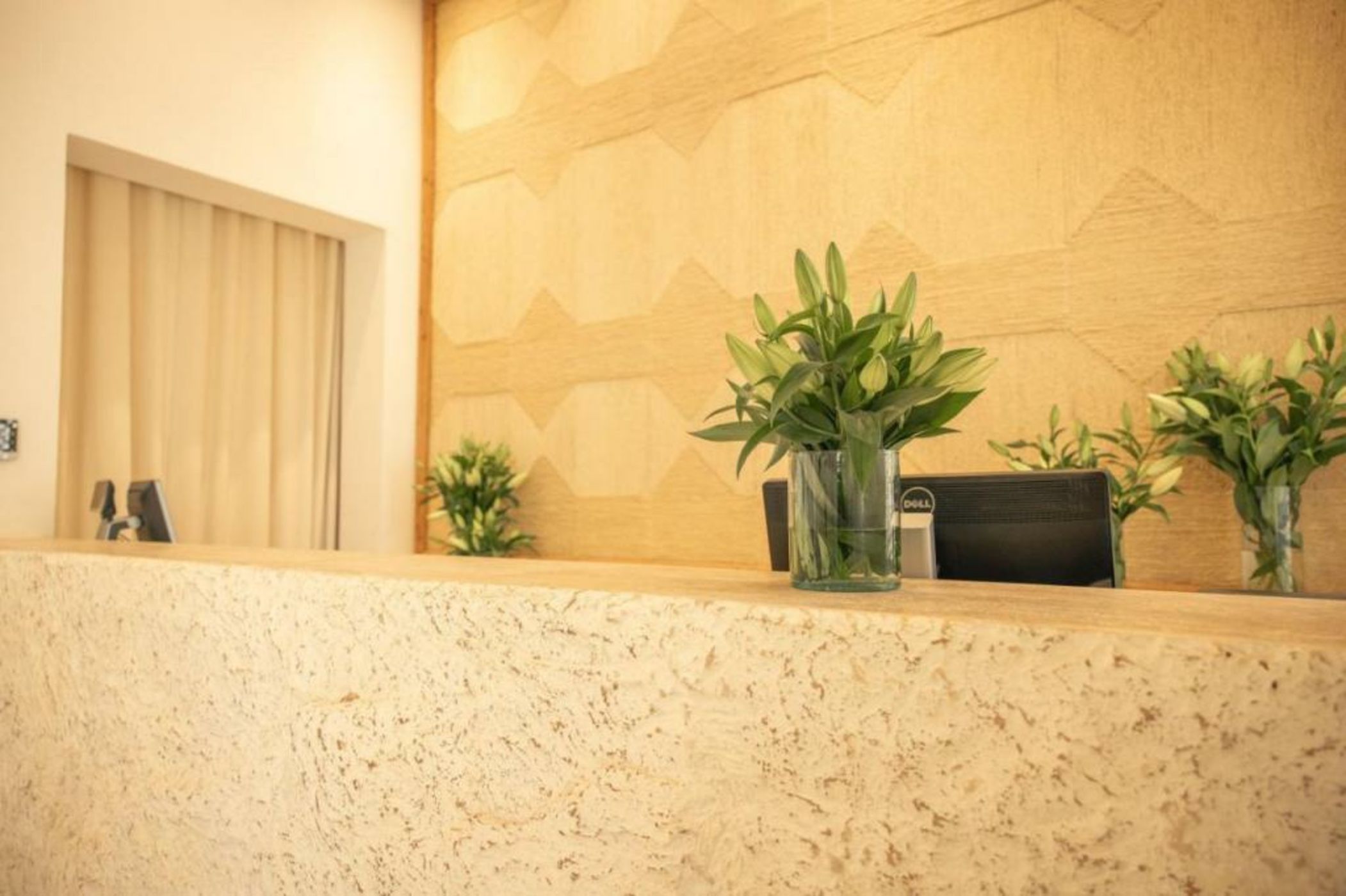 Les Palmiers Boutique Hôtel & Spa