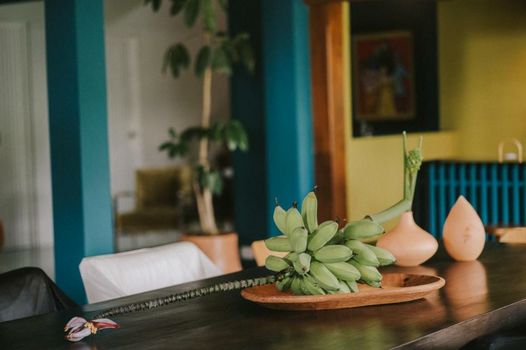 Casa 41
