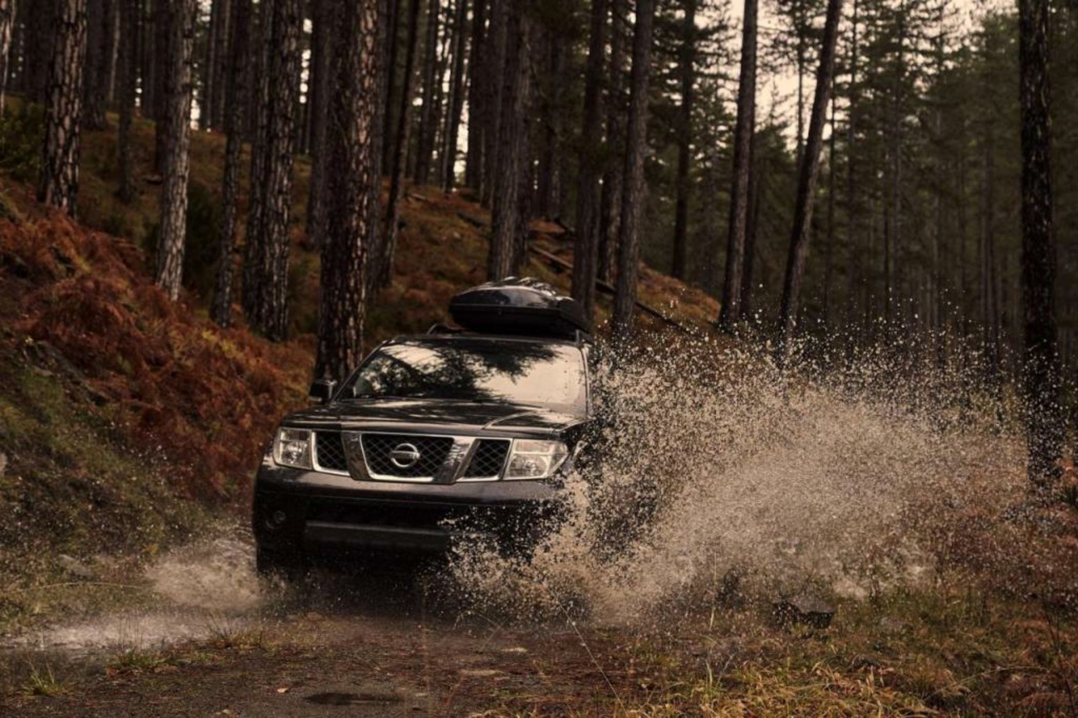 Grand Forest Metsovo