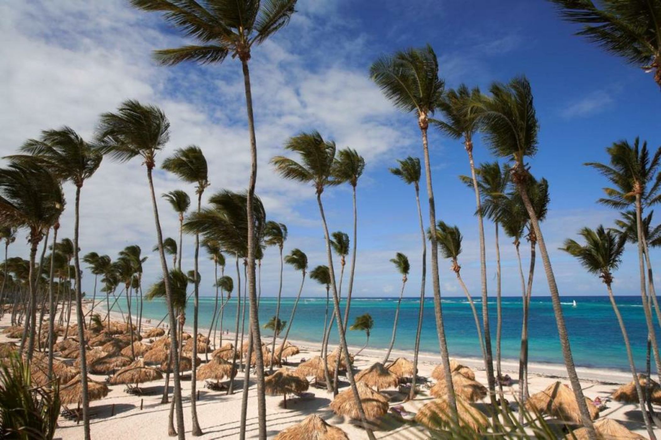 Zel Punta Cana- All inclusive