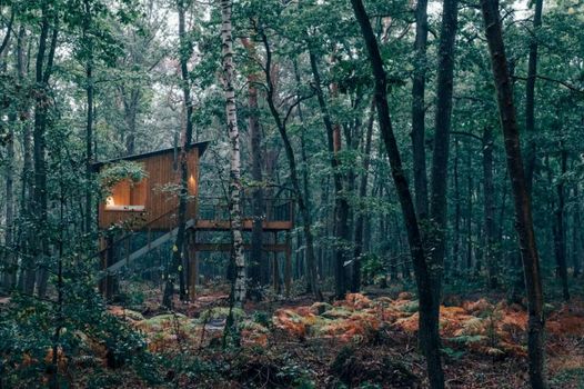 Youza ecolodge