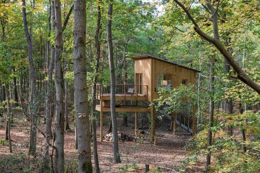 Youza ecolodge