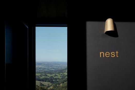 Nest & Nature