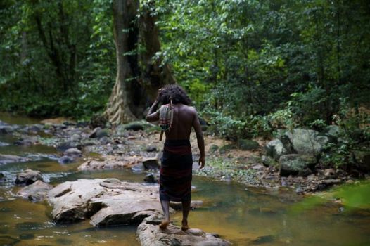 Gal Oya Lodge