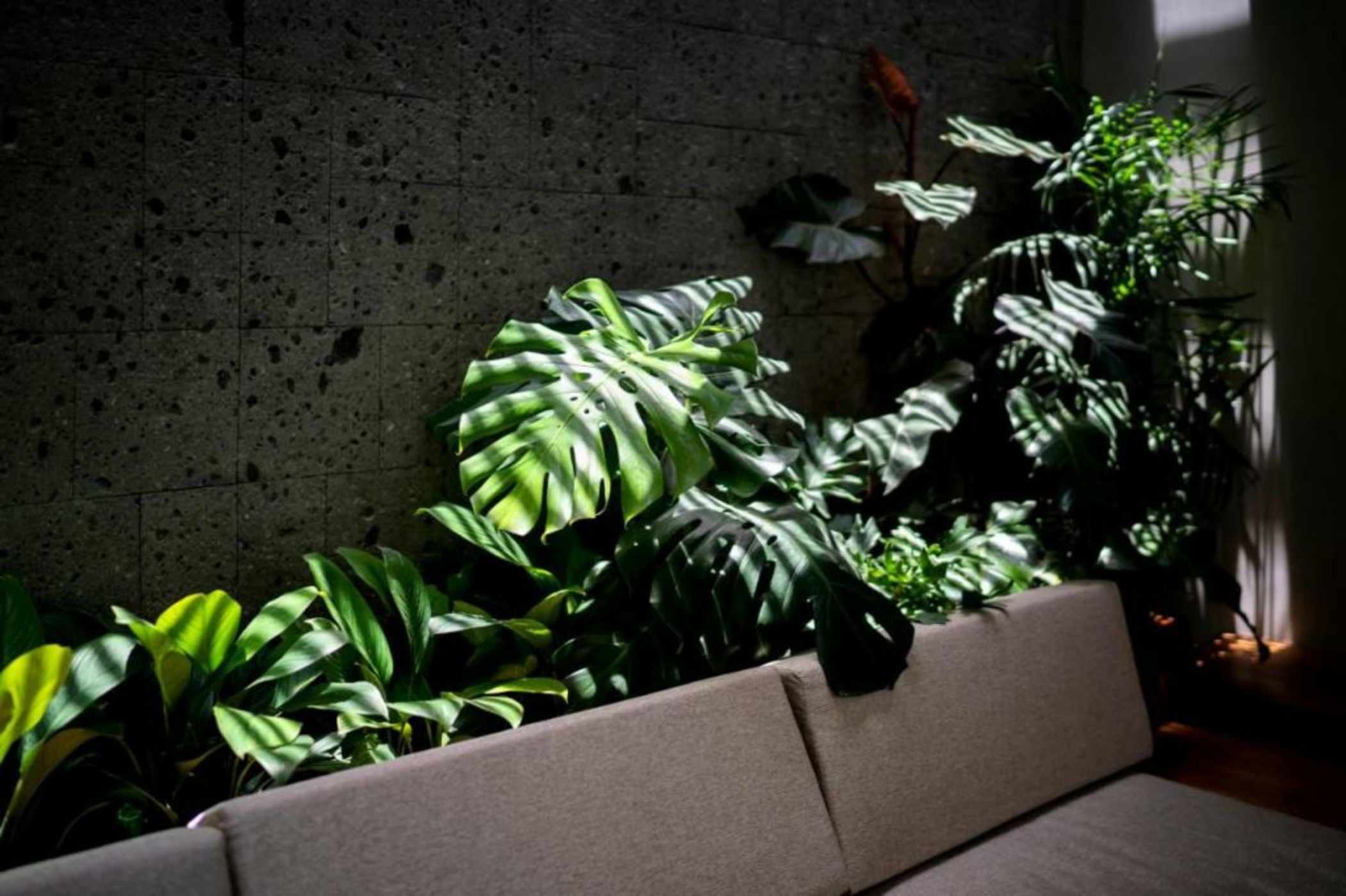 Blossom Eco Luxe Villas by Ekosistem