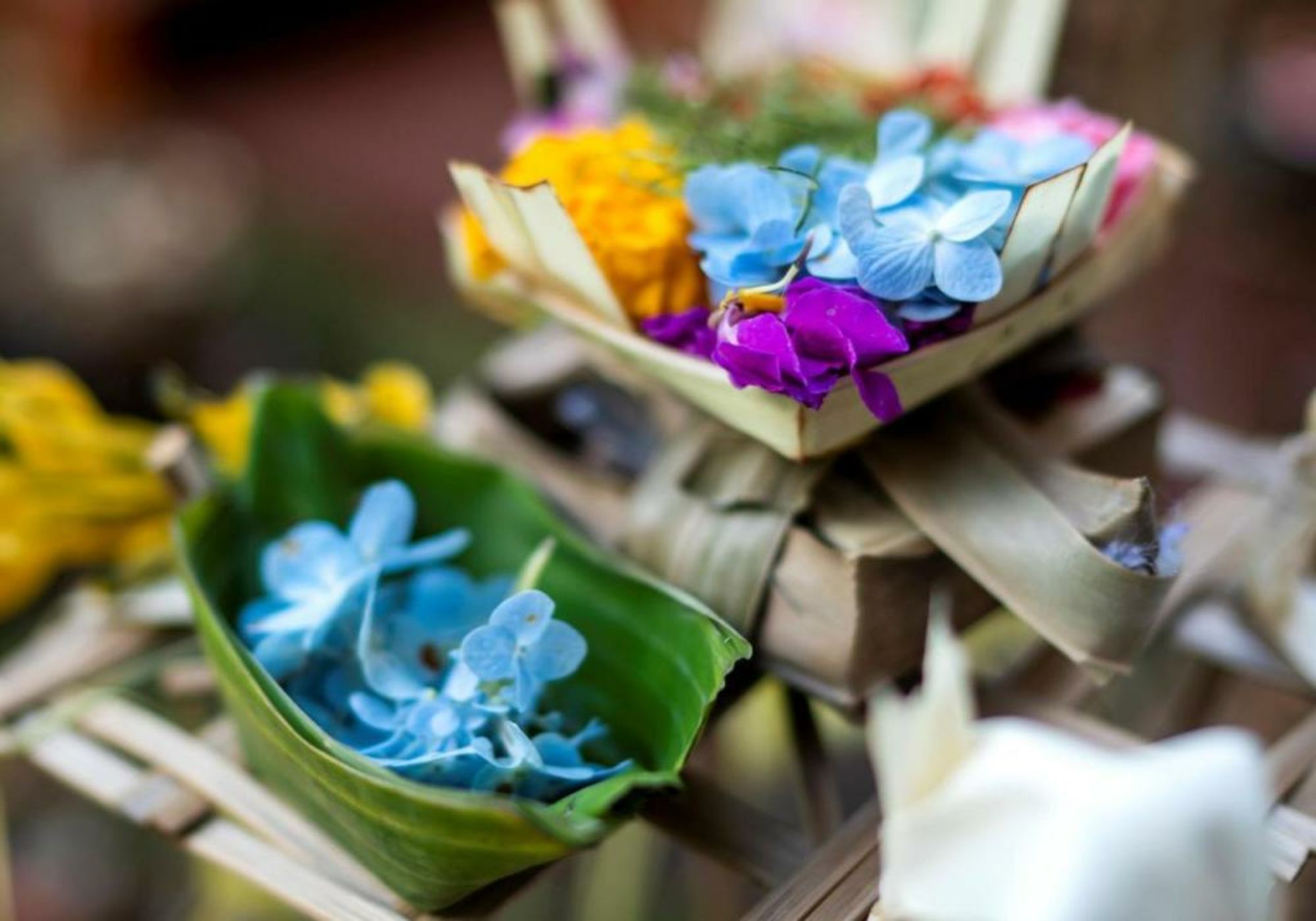 Blossom Eco Luxe Villas by Ekosistem