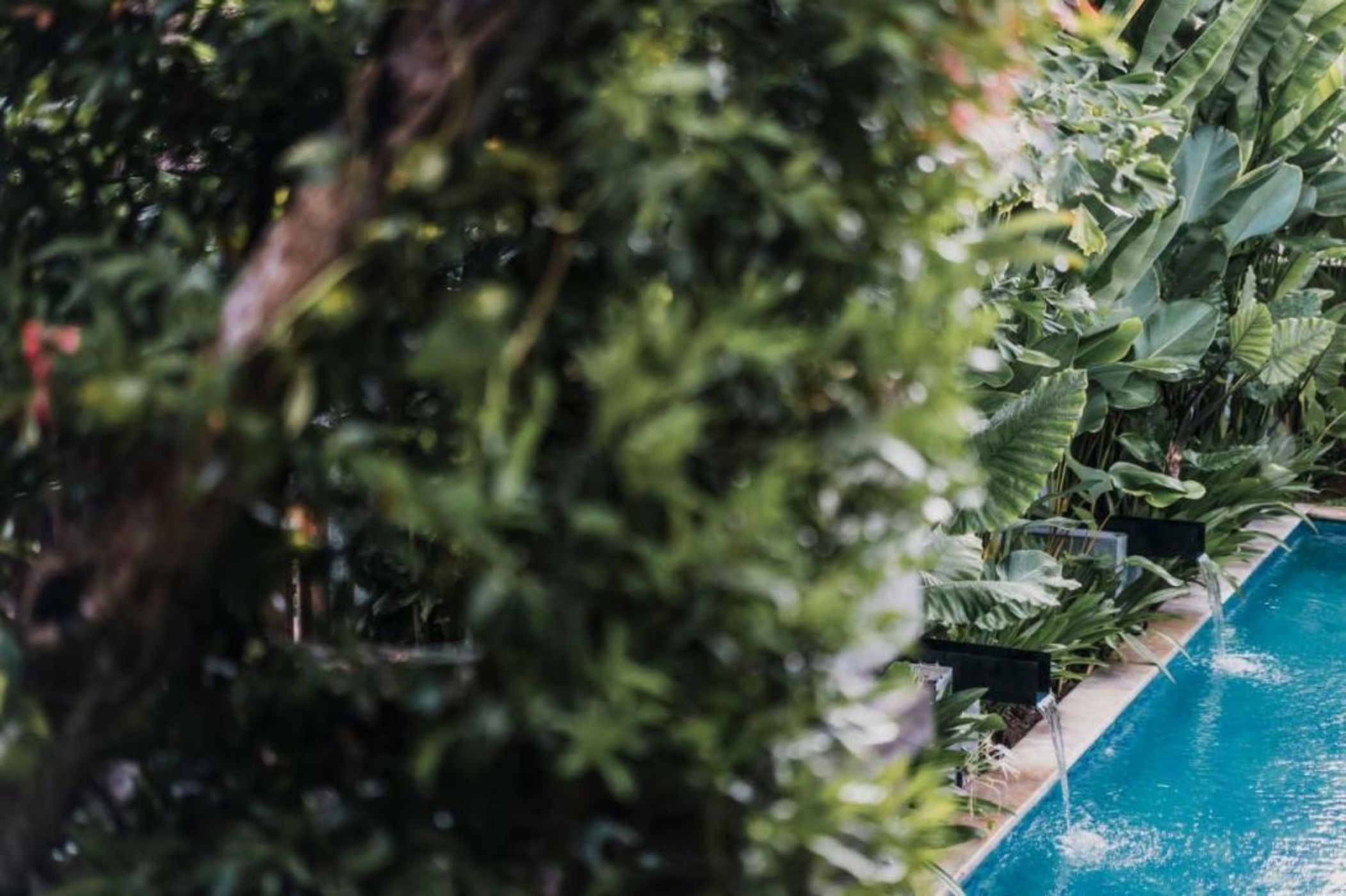 Kharista Villas & Retreat by Ekosistem