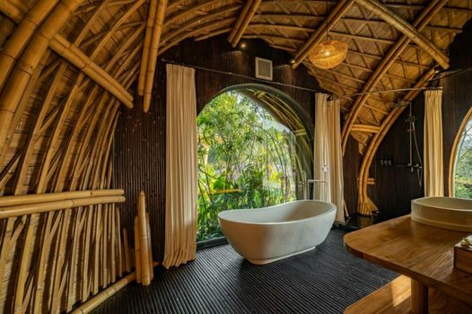 Jungleight Bali