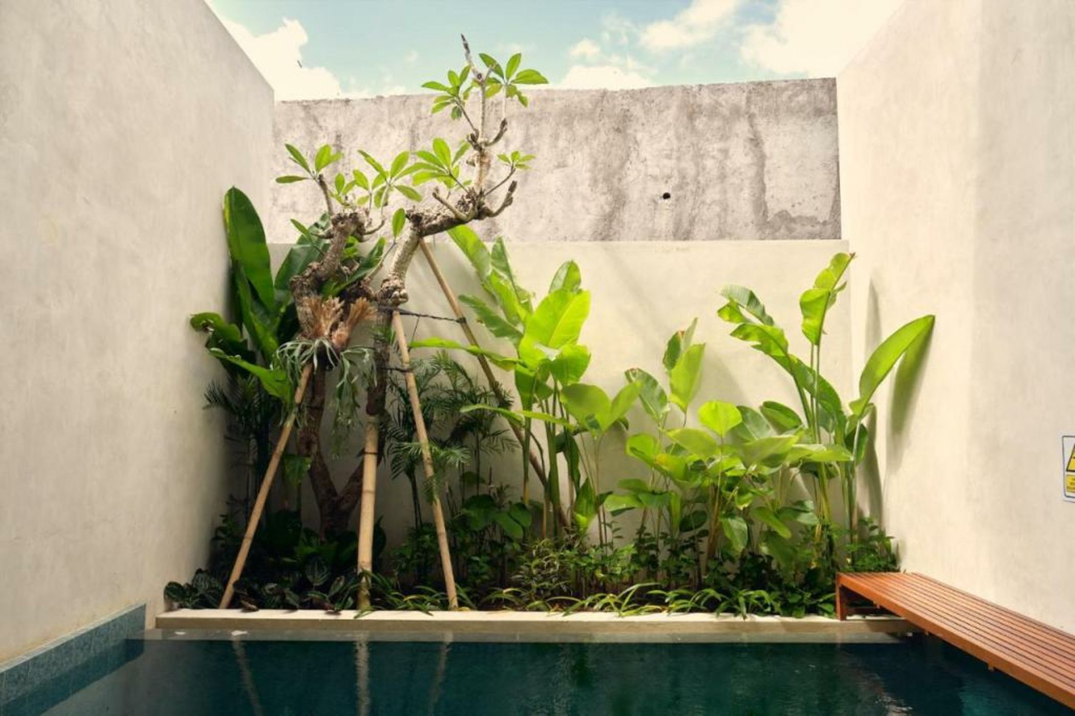 Two Thirds Villa Canggu