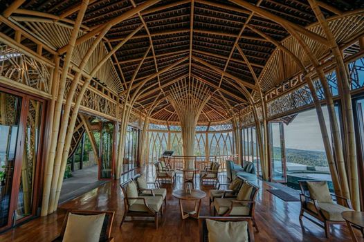 Elevate Bali