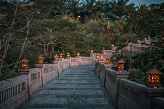 Elevate Bali