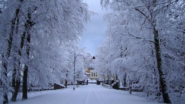 Zamek Łeba Resort & Spa