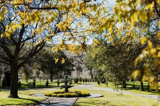 Enfield House Mudgee