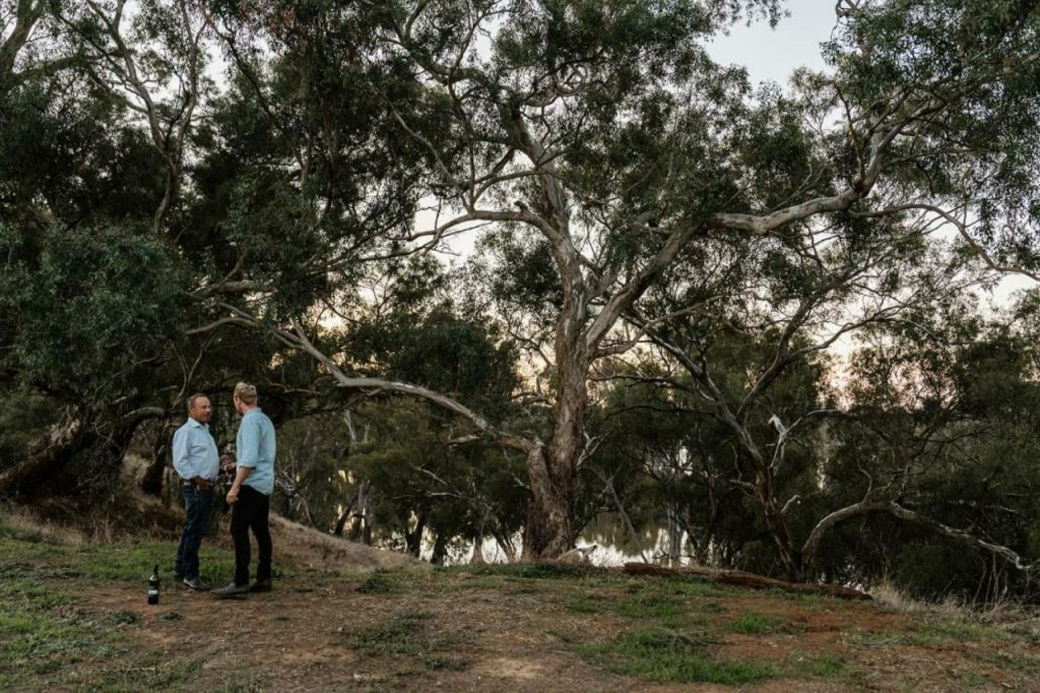 Harry's On Moodemere