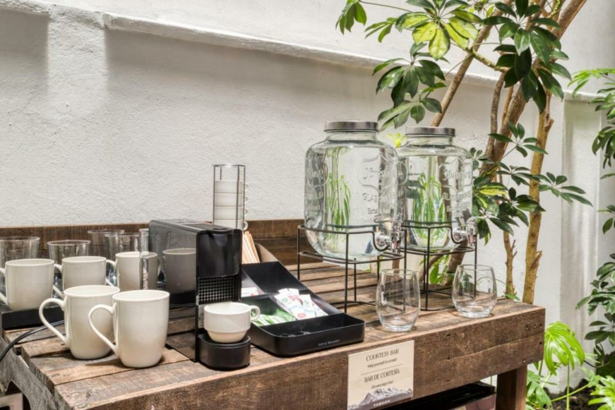 Santa Casa by Tasman