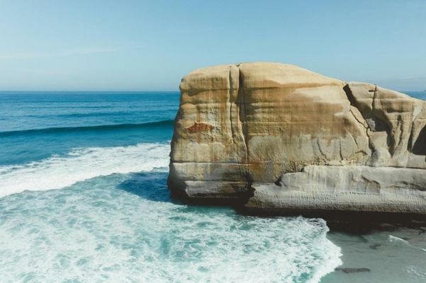 Ebb-Dunedin