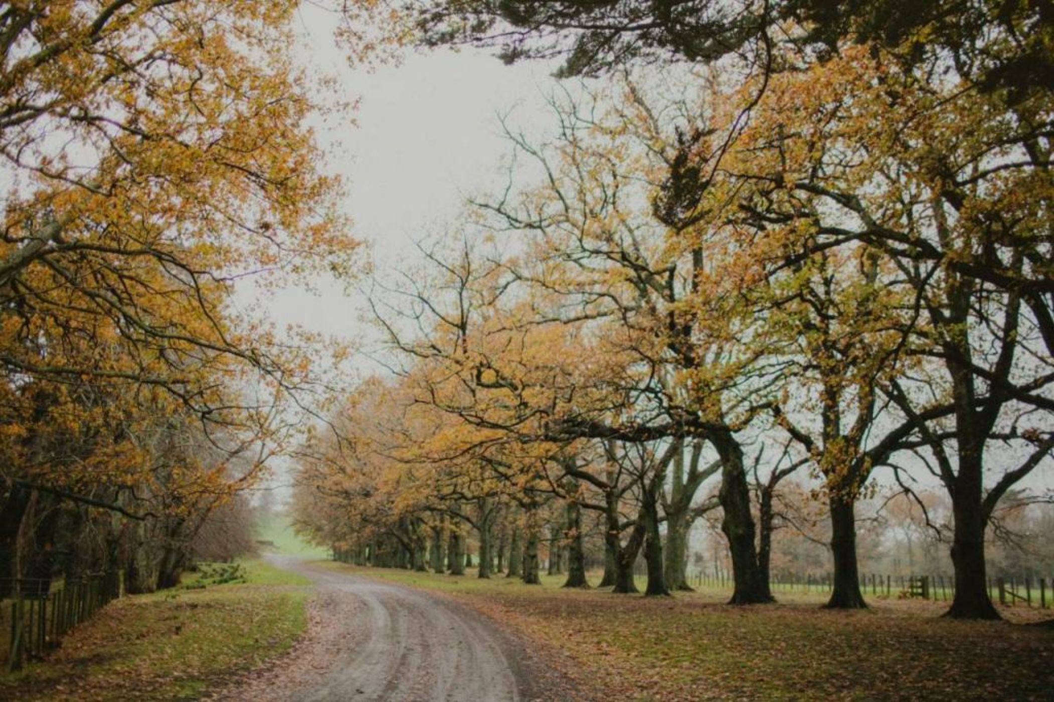 Wallingford Homestead