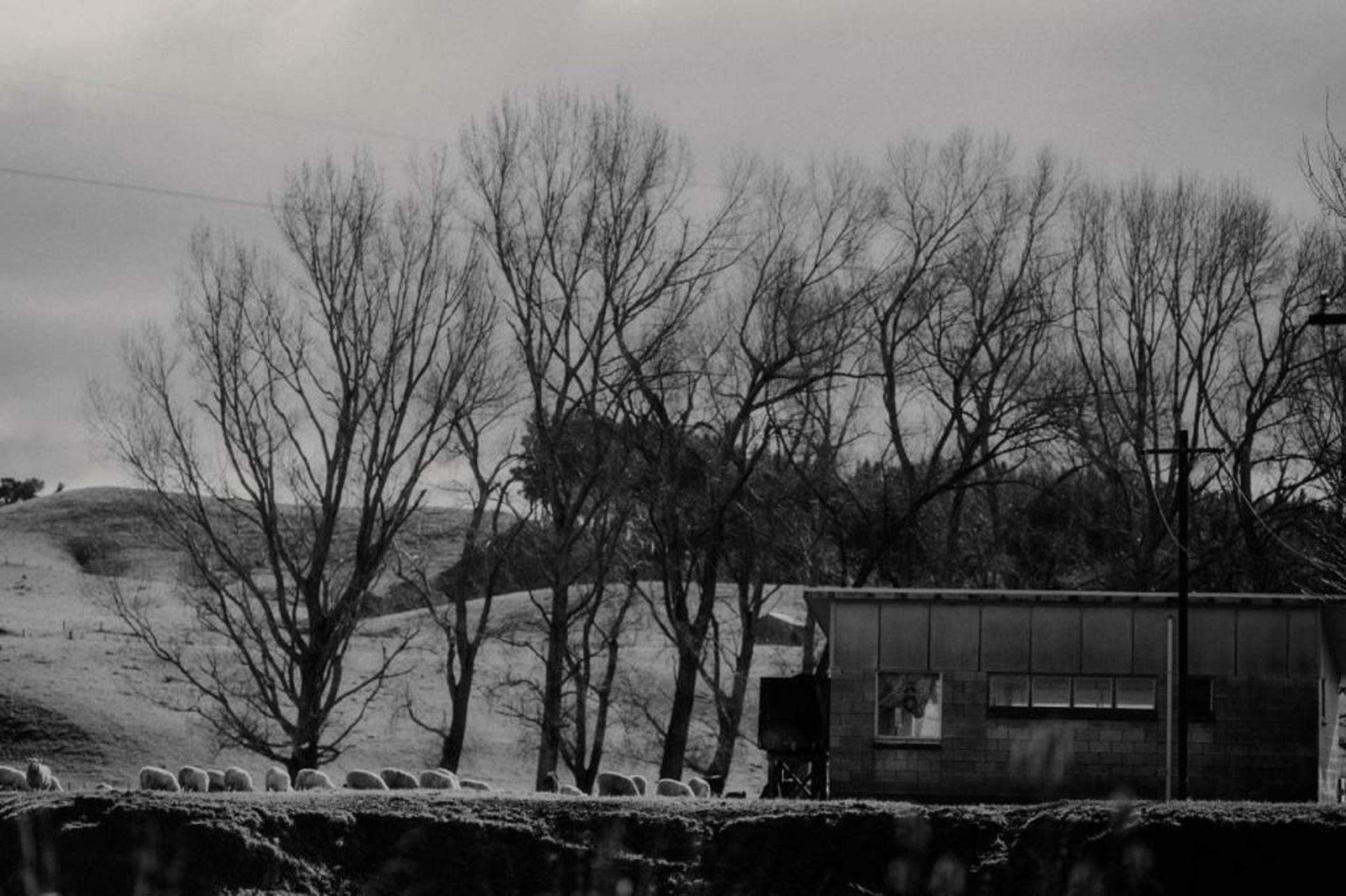 Wallingford Homestead