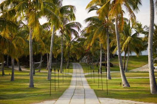 The Cove Eleuthera