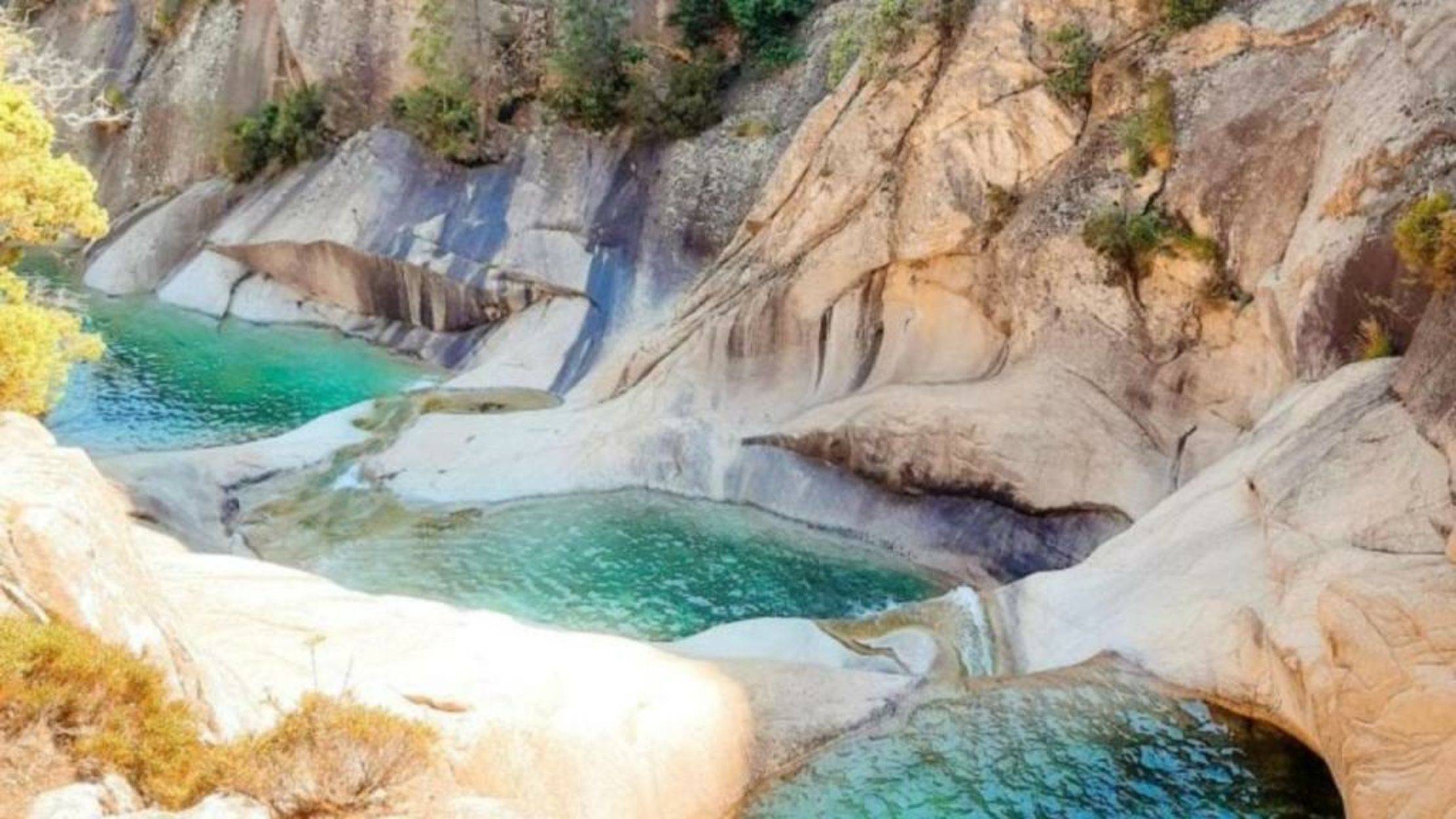 Domaine Le Mouflon D'Or