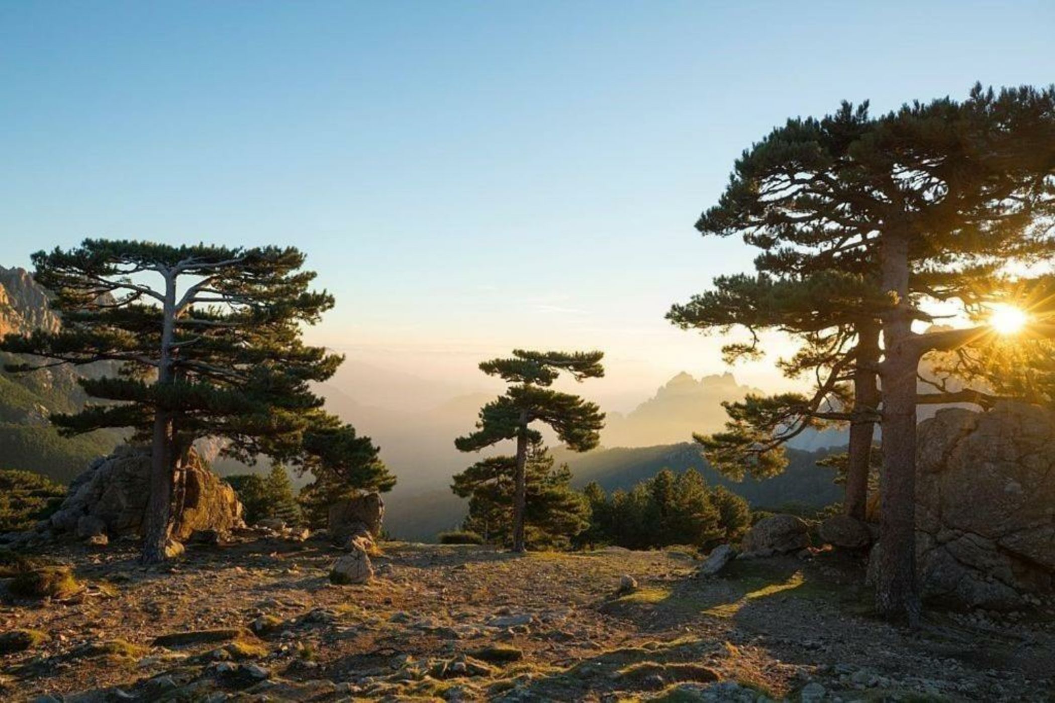 Domaine Le Mouflon D'Or