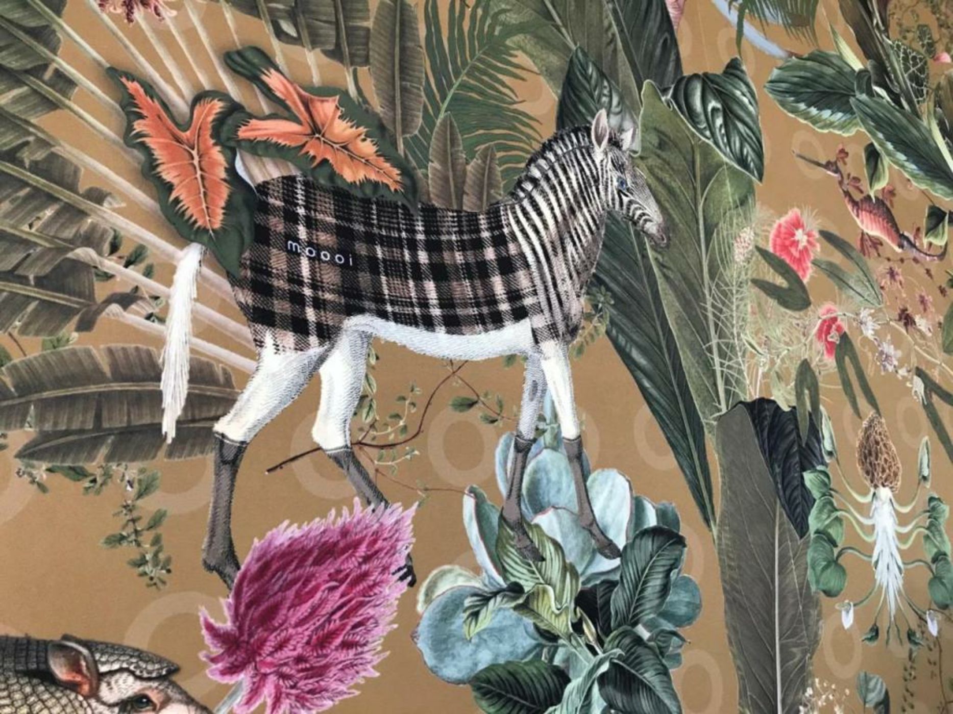 Maison Caju - La Rochelle