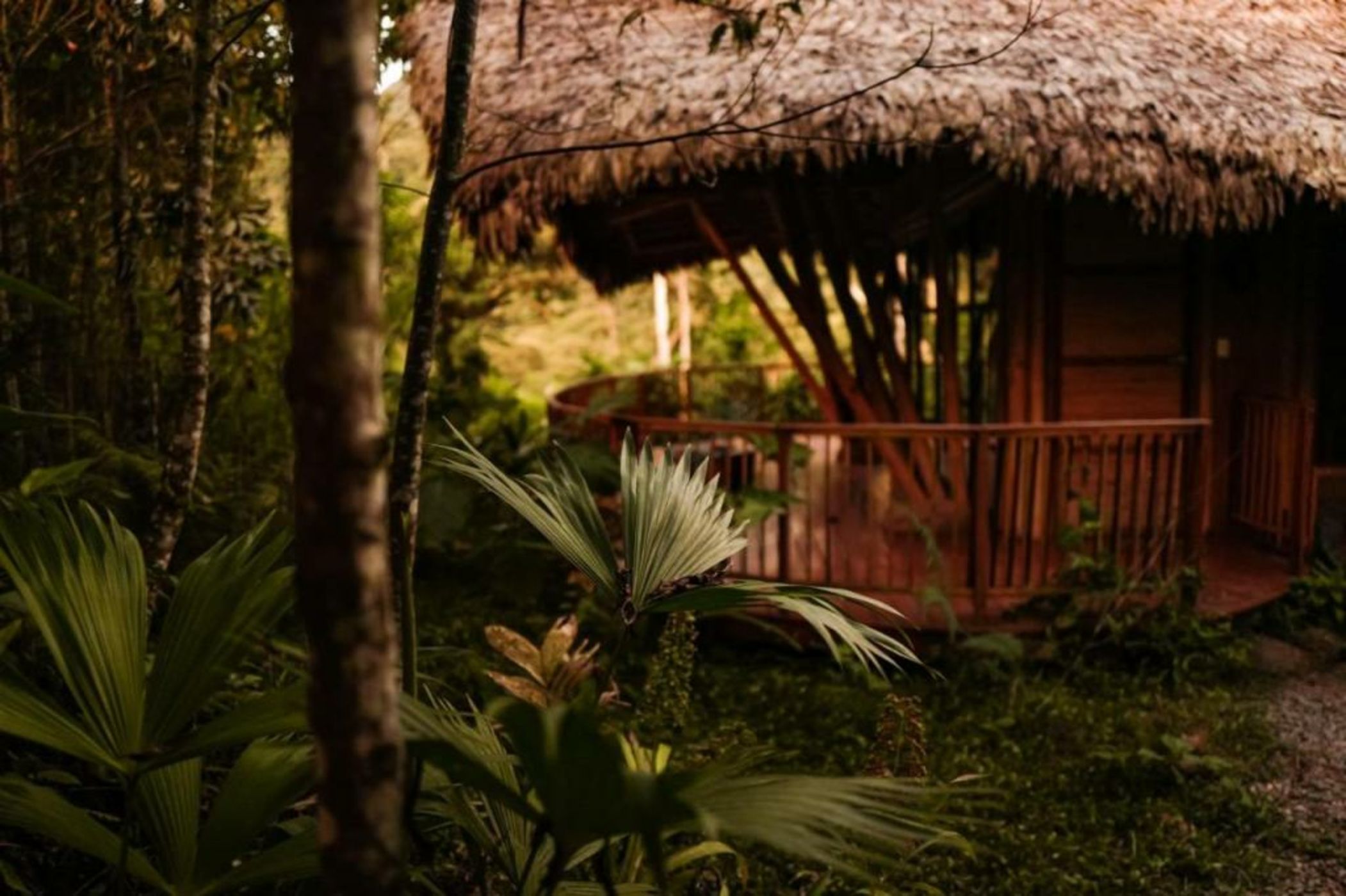 Bosque Guardian Lodge