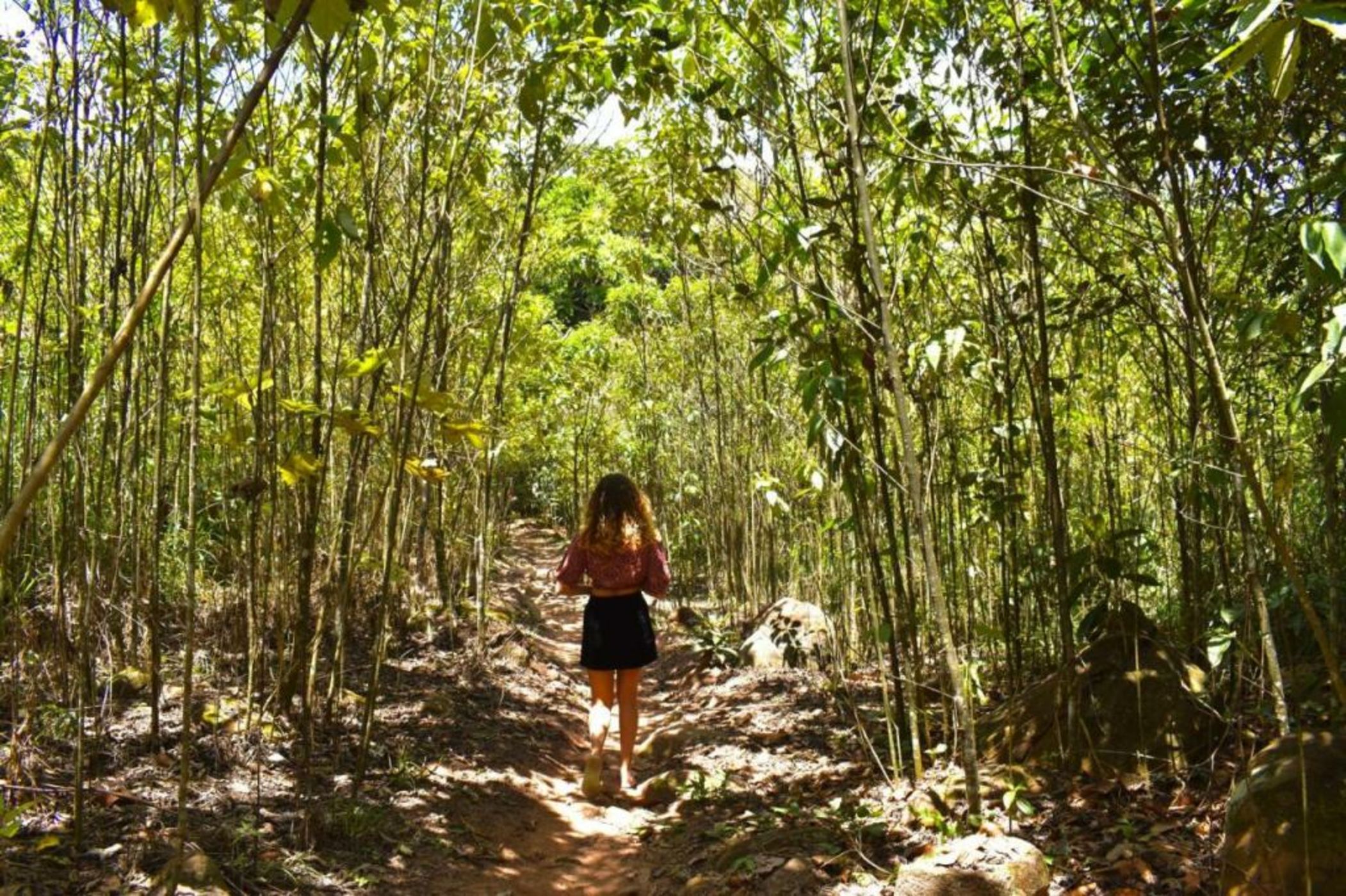 Bosque Guardian Lodge