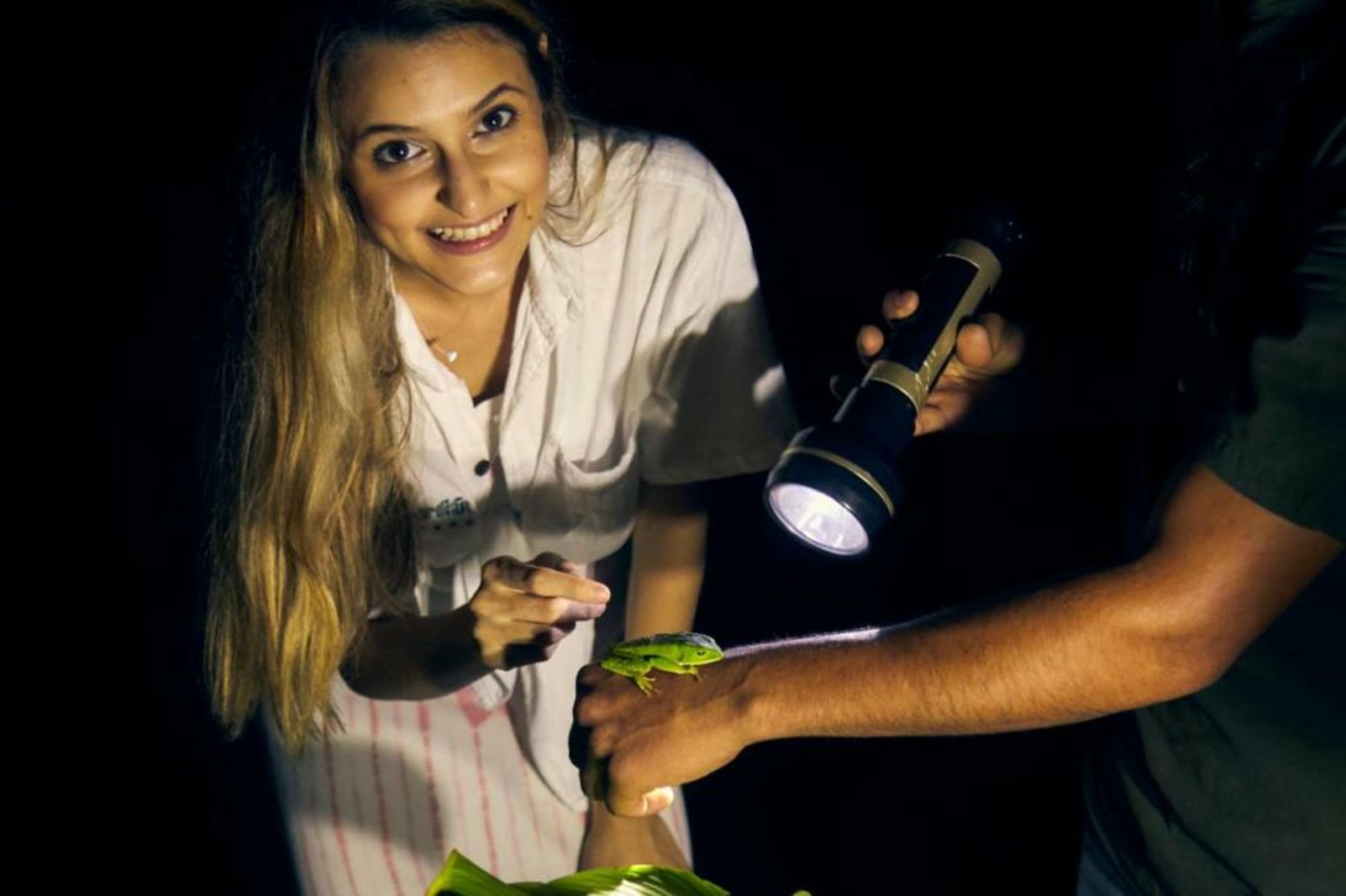 Bosque Guardian Lodge