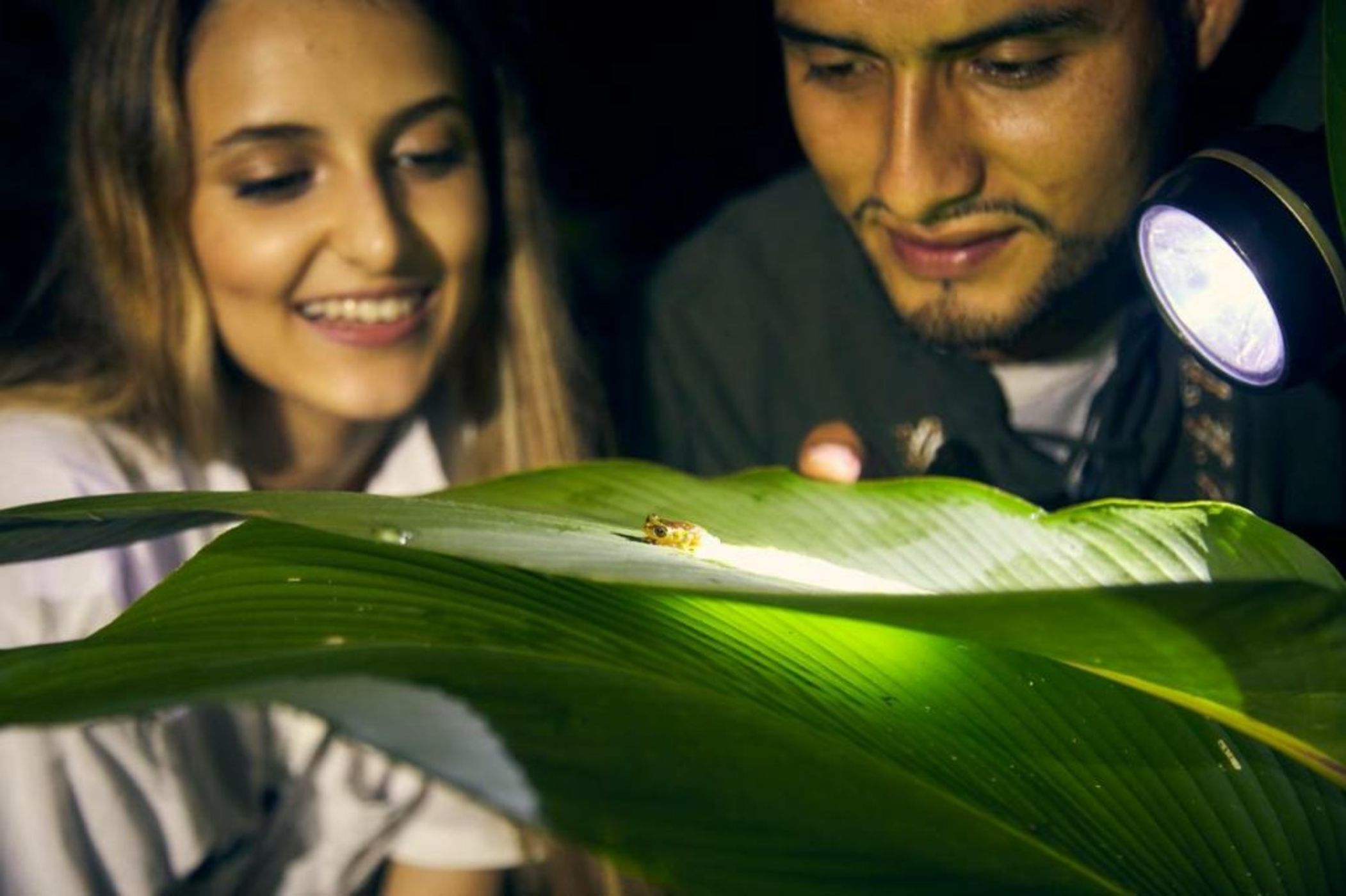 Bosque Guardian Lodge